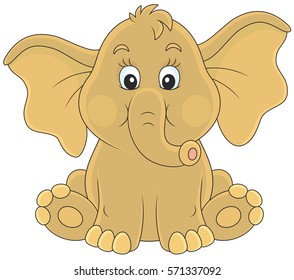 Baby elephant