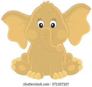 Baby elephant