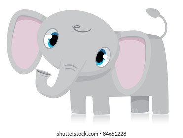 Baby Elephant
