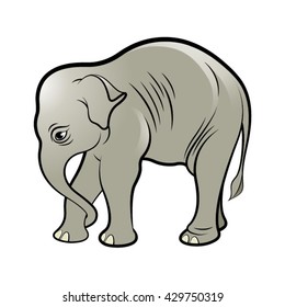 baby elephant in color-vector drawing