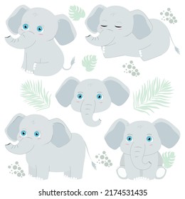 Baby elephant in different poses. Vector illustration