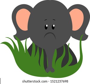 elefante bebé, ilustración, vector sobre fondo blanco.