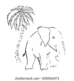 a baby elephant line art