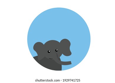 Baby Elephant with Long Trunk