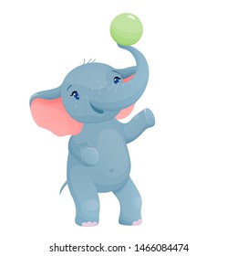 Baby Elephant Playing With Ball, Elephant Is Half A Turn On White Isolated.