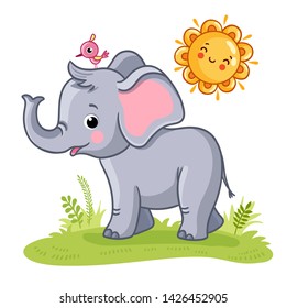 Baby elephant stands on a green meadow with the sun. Cute animal in cartoon style. Vector illustration.