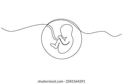 Baby embryo in womb, fetus one art line continuous drawing, Continuous line of fetus in womb.one line drawing of baby fetus in mother's stomach in gestational age.