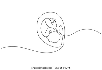 Baby embryo in womb, fetus one art line continuous drawing, Continuous line of fetus in womb.one line drawing of baby fetus in mother's stomach in gestational age.