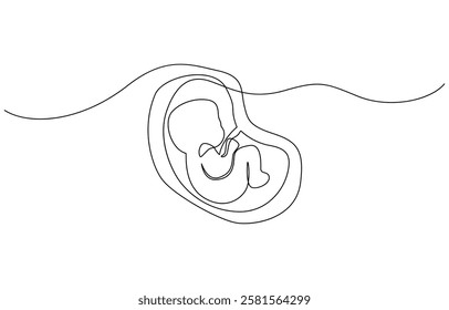 Baby embryo in womb, fetus one art line continuous drawing, Continuous line of fetus in womb.one line drawing of baby fetus in mother's stomach in gestational age.