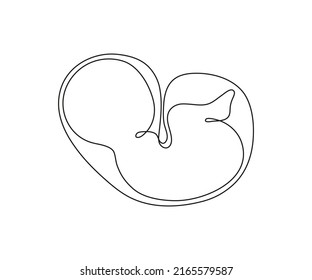 Baby Embryo in der Gebärmutter, eine Kunstlinie kontinuierliche Zeichnung. Silhouette süße ungeborene Fötus Kind auf Mutter Gebärmutter im Minimalismus einfache Umrisse ziehen. Kleines Kind liegt auf dem Magen. Vektorgrafik