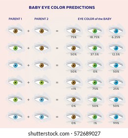 Genetic Eye Color Predictor Chart