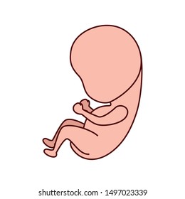 baby fetus pregnancy isolated icon