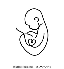 Baby Fetus silhueta line art. Anúncio de nascimento. Embrião de coração. Maternidade. Gravidez. Vetor