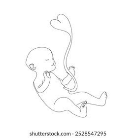 Baby Fetus silhouette line art. Birth announcement. Embryo with heart. Human cub. Baby health and childbirth. Motherhood. Pregnancy. Hand made vector not AI.