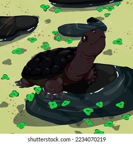 baby galapagos tortoise vector illustration
