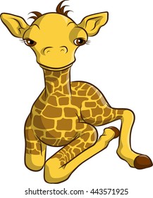a baby giraffe