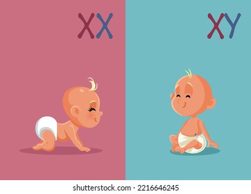 
Baby Girl   Baby Boy Vector Cartoon Illustration  Gender determination process based different chromosomes 
