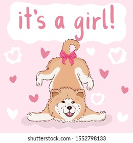 baby it's a girl greeting card with furry cute cartoon dog, funny pet akita on pink background with hearts, editable vector illustration for decoration, banner or poster