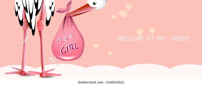 baby girl greeting card with stork
