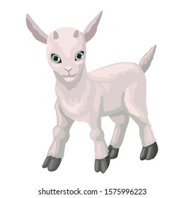 Baby goat cub. Farm animal. Hand drawn cute small goat. Cartoon vector illustration isolated on white background