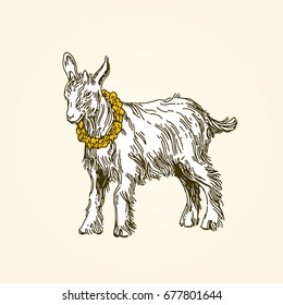 Baby Goat. Domestic Animal. Kid. Vintage Style. Vector Illustration.