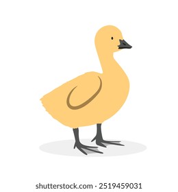 Ganso bebé gosling Ilustración vectorial simple. Clipart de dibujos animados amarillo gosling, animal en estilo plano. Concepto de animales de granja, agricultura rural. Diseño de Vector de ganso bebé de aves de corral aislado en blanco