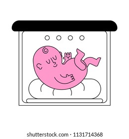 Baby hatch isolated. Baby box for Newborn. Embryo vector illustration
