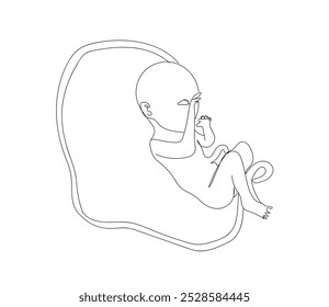 Baby health and childbirth. Motherhood. Pregnancy.  Baby Fetus silhouette line art. Birth announcement. Embryo with heart. Human cub. Hand made vector not AI.