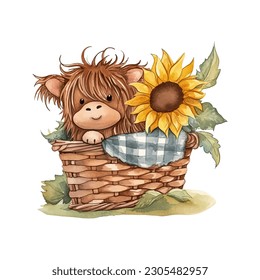 Baby Highland Kuh in Picnic Basket mit Sonnenblumen Aquarell Vektorgrafik