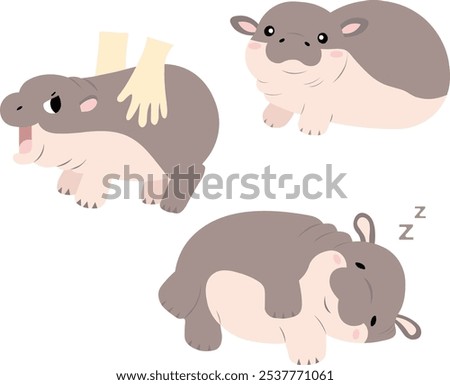 a baby hippo moo deng vector