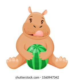 Baby hippo sits holding a watermelon and licks its lips