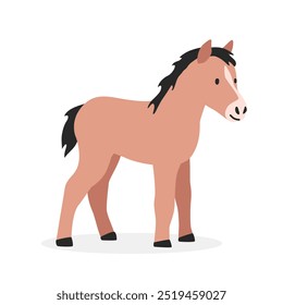 Baby horse colt vector illustration. Cute colt cartoon clipart, animal in flat style. Farm animals concept, rural farming. Livestock animal baby horse vector design isolated on white background