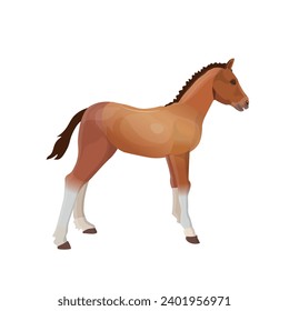 Baby horse. Cute foal. A little colt. Young pony. Vector illustration isolated on a white background. Image in a realistic style