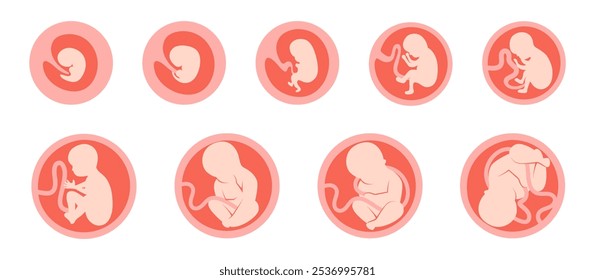 Baby, human embryo icon set 9 in 1