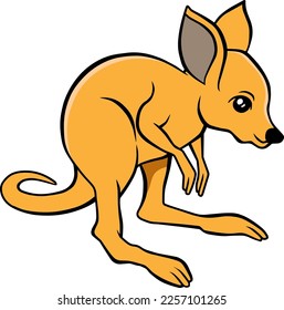 baby kangaroo vector illustration isolated on white background