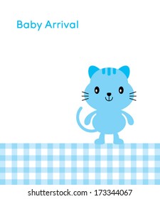 baby kitten arrival