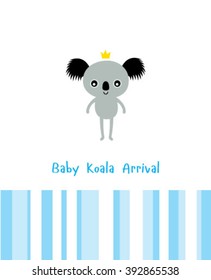 baby koala bear arrival card