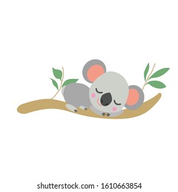 Baby koala sleeping on eucaliptus tree. Simple flat illustration. Minimalist cartoon style. Funny and cute. Australian animal. For children's books. For post cards and posters. Pray for Australia