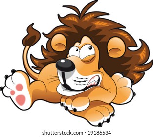 Baby lion