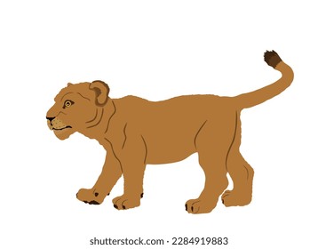 Baby Lion cub vector illustration isolated on white background. Animal king. Big cat. Pride of Africa. Leo zodiac symbol. Wildlife predator. Calf lion mascot.