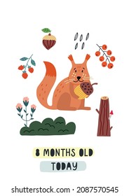 Baby milestone card eight months old today. Squirrel with acorn. Nursery Month card for lovely moments newborn. Baby Shower hand drawn doodle vector illustration design