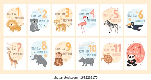 Tarjetas de hito bebé con lindos animales y números. Fotografías del aniversario de los niños para la niña recién nacida, chico. Personajes de la jungla con elementos gráficos, estrellas, corazón, nubes. Conjunto de ilustraciones vectoriales de dibujos animados