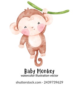 Baby Monkey, cute monkey, watercolor monkey, illustration, vector