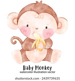 Baby Monkey, cute monkey, watercolor monkey, illustration, vector