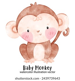 Baby Monkey, cute monkey, watercolor monkey, illustration, vector