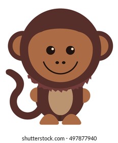 Baby monkey on white background.