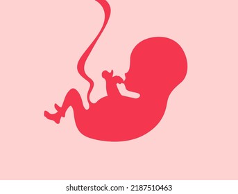 Baby in mother womb. Embryo sign. Human fetal flat silhouette. Vector infant inside uterus. Unborn cartoon illustration. Little childe become born. Pregnant woman health care. Last month pregnancy