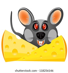 Baby mouse with cheese
