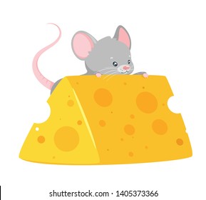 Baby mouse eating cheese flat vector illustration. Cute rat holding dairy product isolated clipart. Children book, recipe book drawing. Rodent with food design element. Animal cartoon character