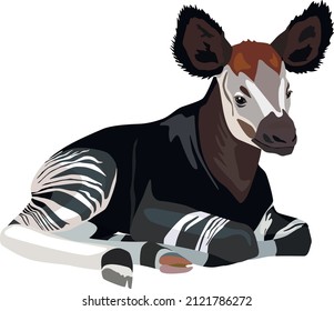 The baby okapi is lying down. Vector illustration